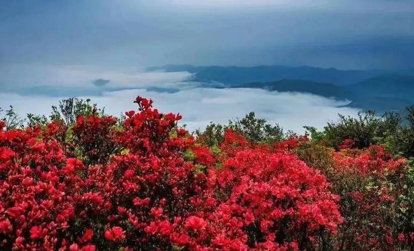 江西萍乡红色旅游景点有哪些必打卡处？-第3张图片-花冠旅游服务