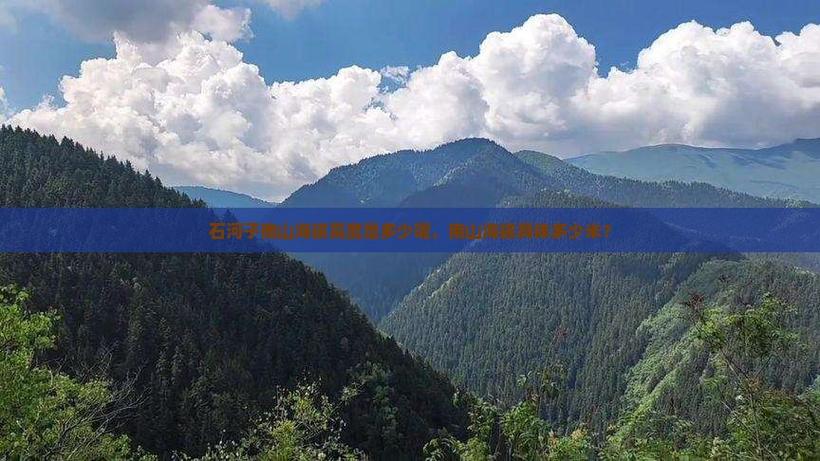 新疆石河子海拔高度是多少?-第3张图片-花冠旅游服务 新疆石河子海拔高度是多少?-第3张图片-花冠旅游服务