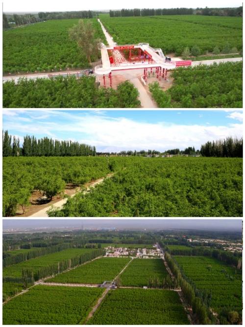 新疆若羌县有何独特魅力与故事？-第2张图片-花冠旅游服务