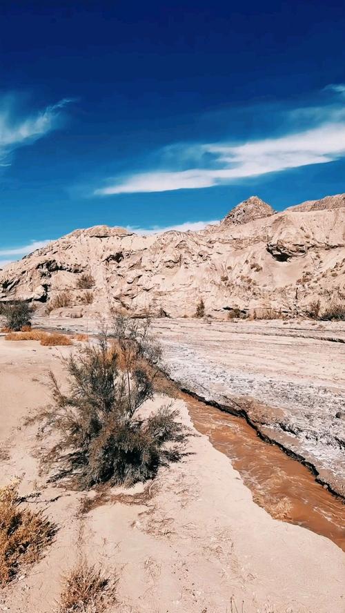 新疆若羌县有何独特魅力与故事？-第3张图片-花冠旅游服务