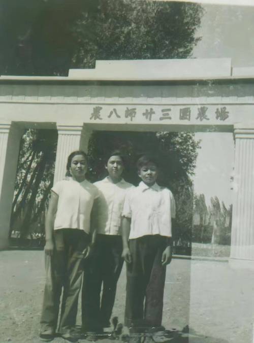 新疆石河子143团有何故事？-第3张图片-花冠旅游服务