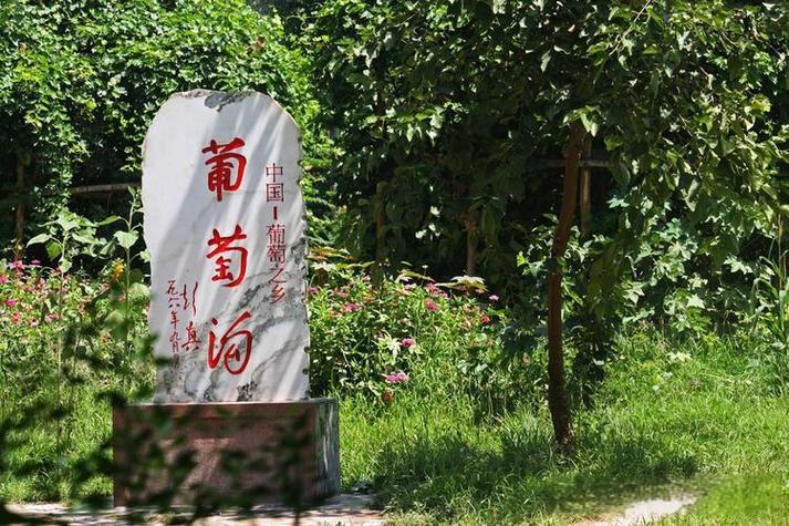 新疆葡萄沟究竟在新疆哪个位置？-第1张图片-花冠旅游服务