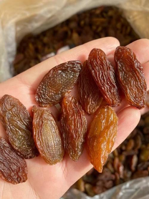 新疆葡萄干为何能晒得干而不皱？-第2张图片-花冠旅游服务