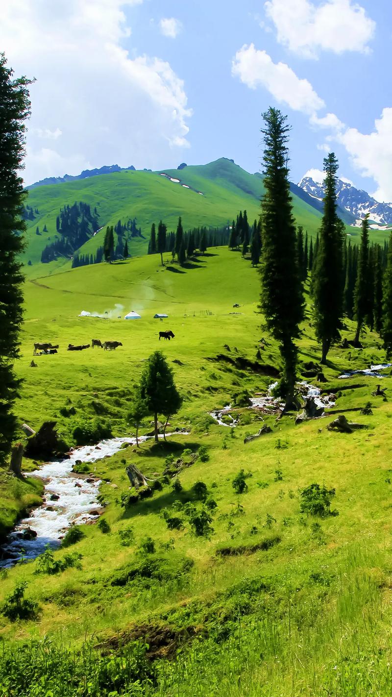 新疆伊犁那拉提风景有多惊艳？-第1张图片-花冠旅游服务