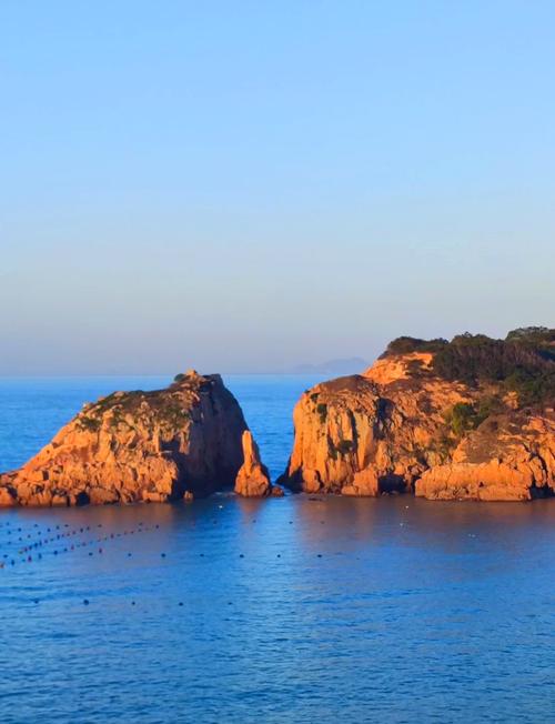 福建到上海有哪些必游景点？-第3张图片-花冠旅游服务