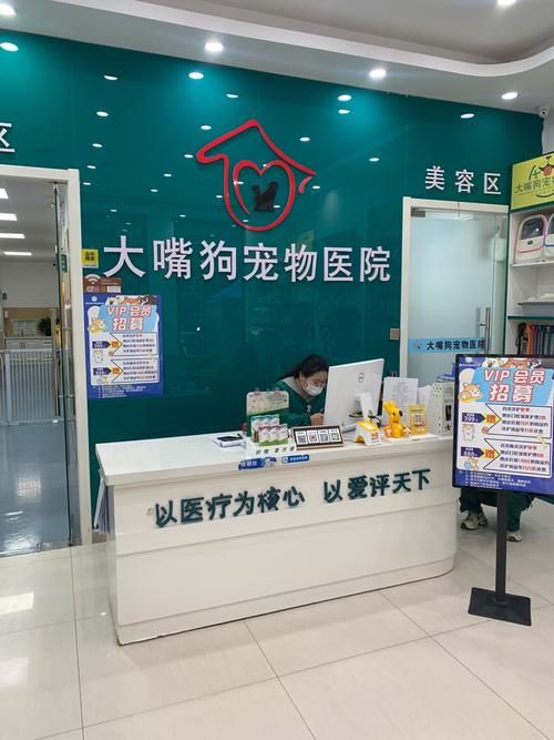 福建邵武宠物店位置在哪?-第3张图片-花冠旅游服务 福建邵武宠物店位置在哪?-第3张图片-花冠旅游服务