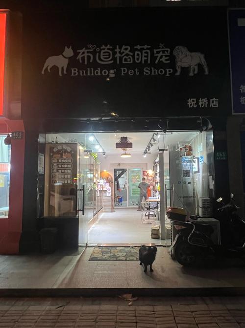 福建邵武宠物店位置在哪?-第2张图片-花冠旅游服务 福建邵武宠物店位置在哪?-第2张图片-花冠旅游服务