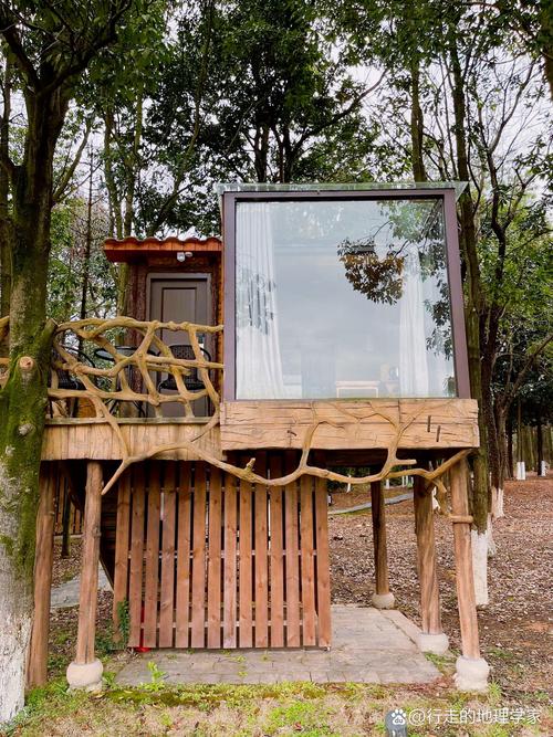 江西南昌象山森林公园有何特色？-第1张图片-花冠旅游服务