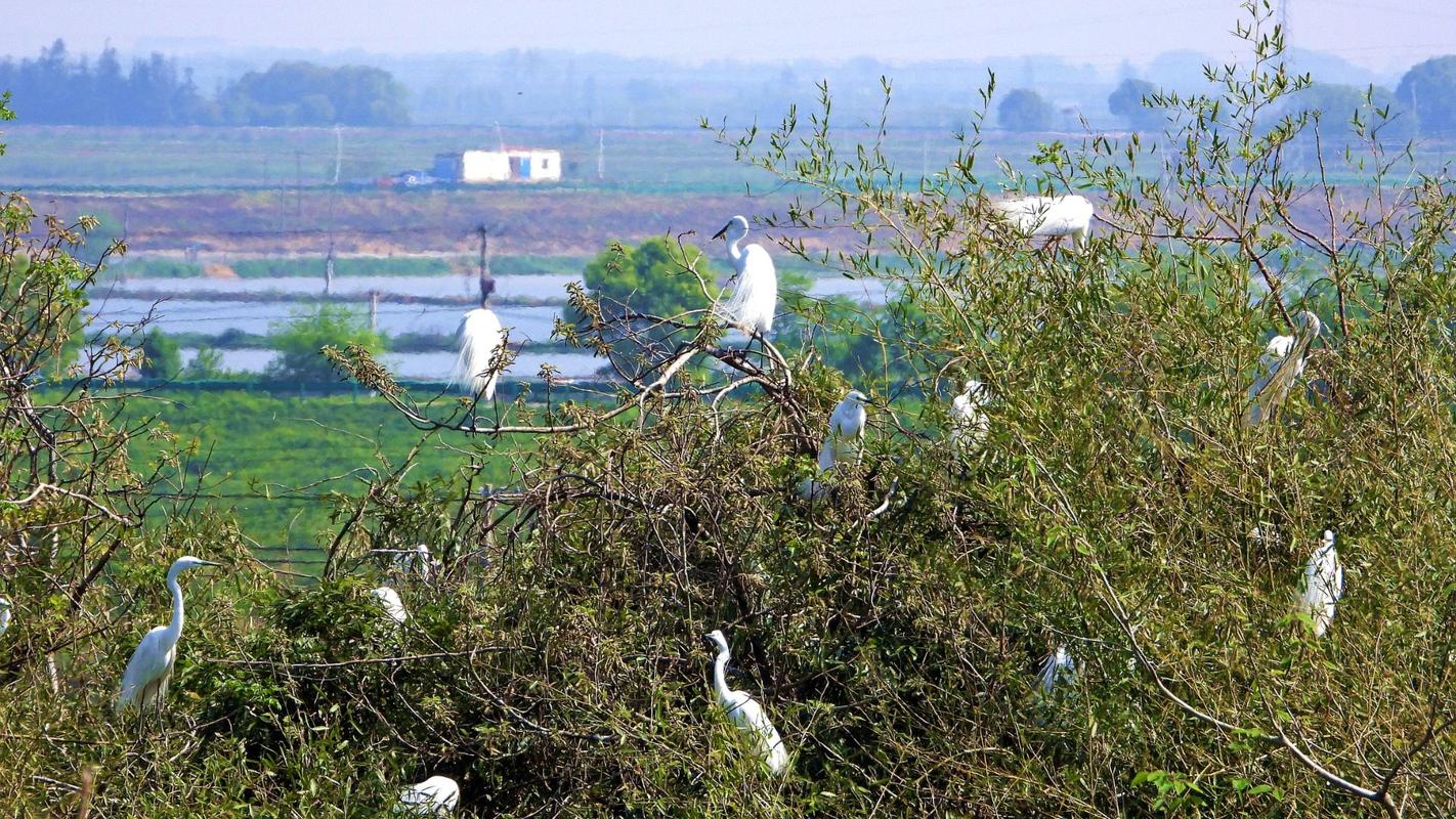 江西南昌象山森林公园有何特色？-第2张图片-花冠旅游服务