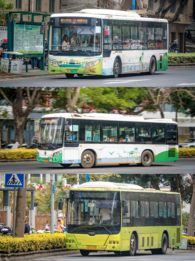 湛江到福建有汽车班次吗？-第2张图片-花冠旅游服务