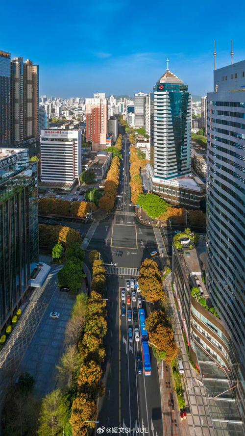 五四路具体位置在哪？-第1张图片-花冠旅游服务