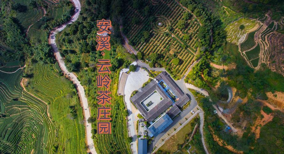 福建安溪茶园旅游景点有何特色？-第2张图片-花冠旅游服务