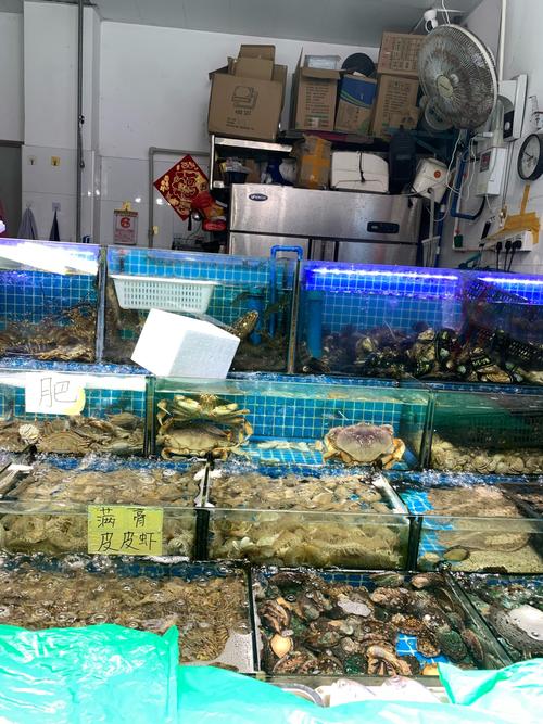 江西丰城哪里能买到新鲜海鲜?-第3张图片-花冠旅游服务 江西丰城哪里能买到新鲜海鲜?-第3张图片-花冠旅游服务