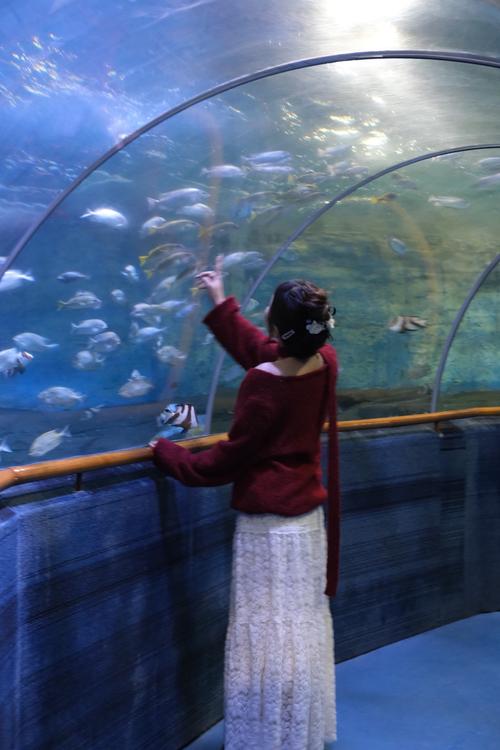 厦门海底世界在哪里?-第1张图片-花冠旅游服务 厦门海底世界在哪里?-第1张图片-花冠旅游服务