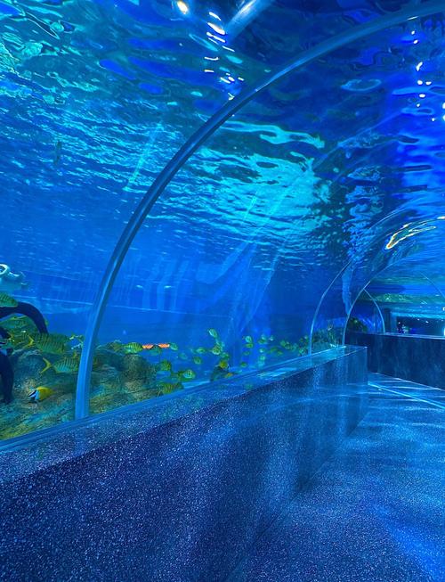 厦门海底世界在哪里？-第2张图片-花冠旅游服务