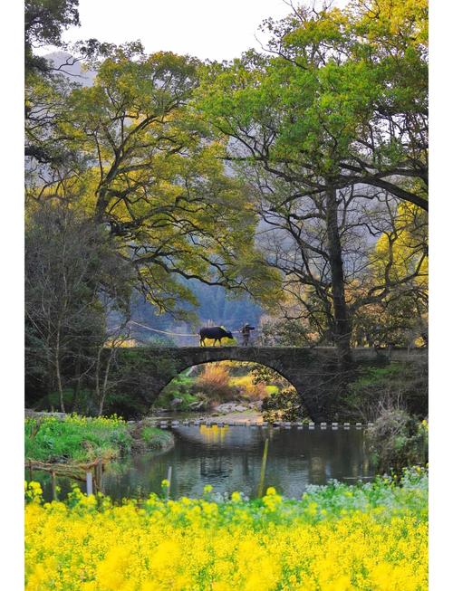 婺源周边有哪些值得一游的景点？-第2张图片-花冠旅游服务