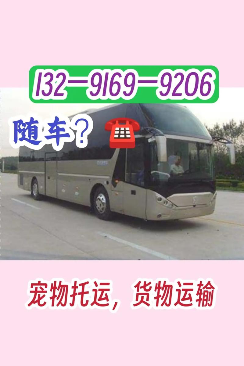 红果到福建汽车时刻表最新版是?-第3张图片-花冠旅游服务 红果到福建汽车时刻表最新版是?-第3张图片-花冠旅游服务