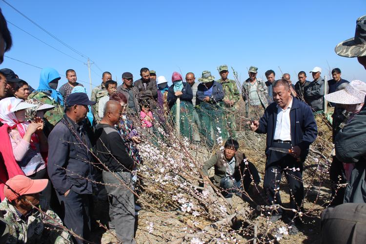 新疆乌鲁木齐104团有什么好玩的地方和特色美食？-第1张图片-花冠旅游服务