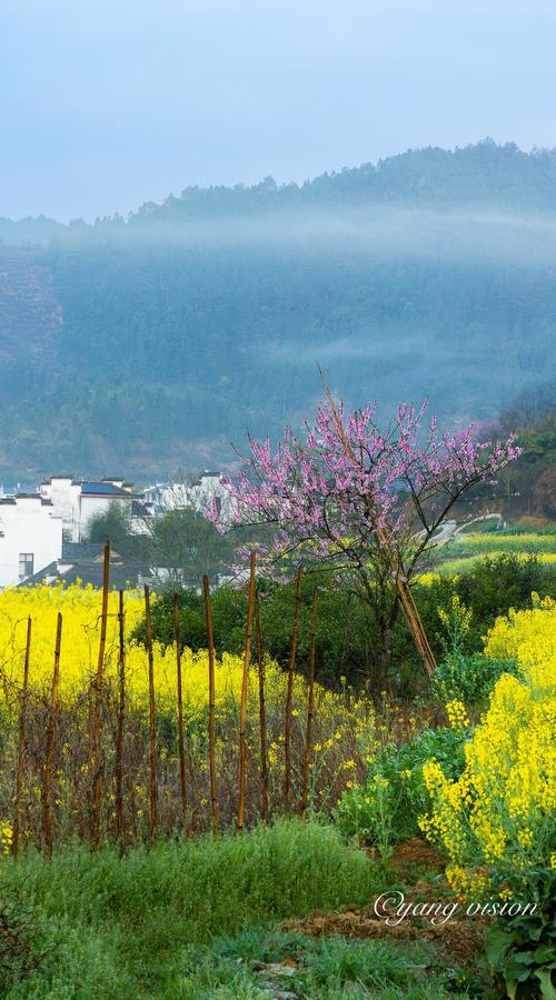 10月江西婺源天气怎么样?-第2张图片-花冠旅游服务 10月江西婺源天气怎么样?-第2张图片-花冠旅游服务