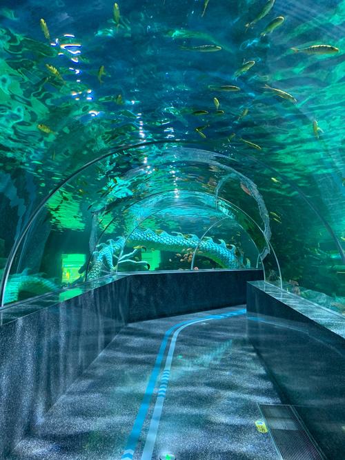 福建哪里有海底世界?-第1张图片-花冠旅游服务 福建哪里有海底世界?-第1张图片-花冠旅游服务