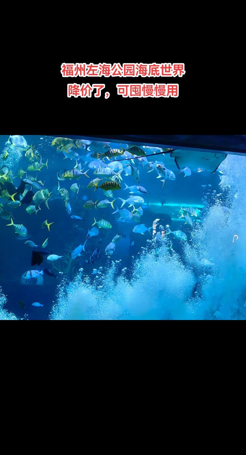 福建哪里有海底世界?-第3张图片-花冠旅游服务 福建哪里有海底世界?-第3张图片-花冠旅游服务