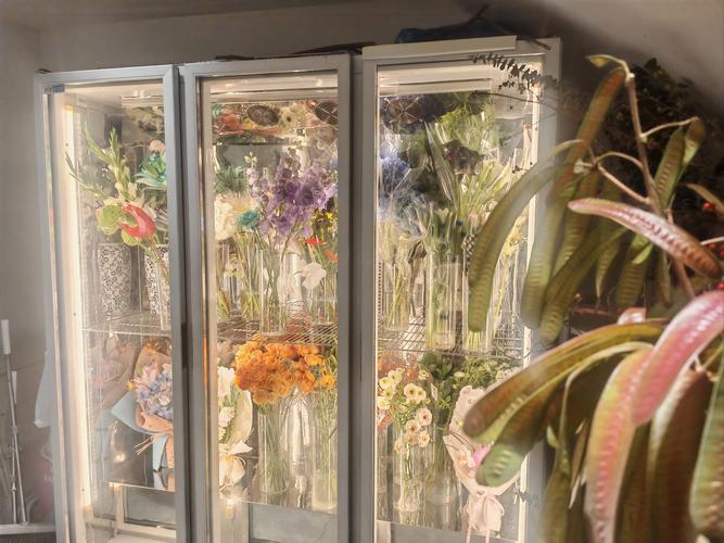 福建安溪县城花店电话多少？-第3张图片-花冠旅游服务