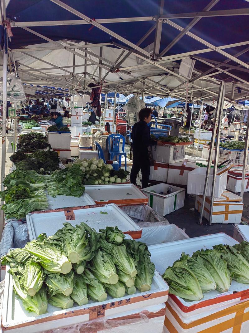 江西鹰潭蔬菜批发市场怎么样？-第1张图片-花冠旅游服务