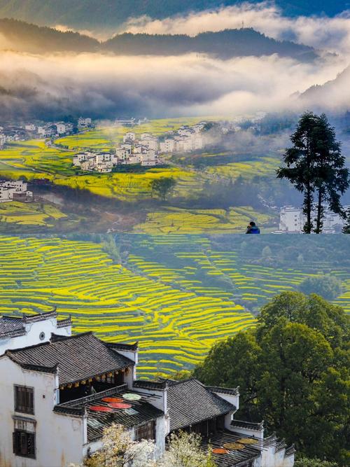 江西屋园旅游景点图片有哪些亮点?-第1张图片-花冠旅游服务 江西屋园旅游景点图片有哪些亮点?-第1张图片-花冠旅游服务