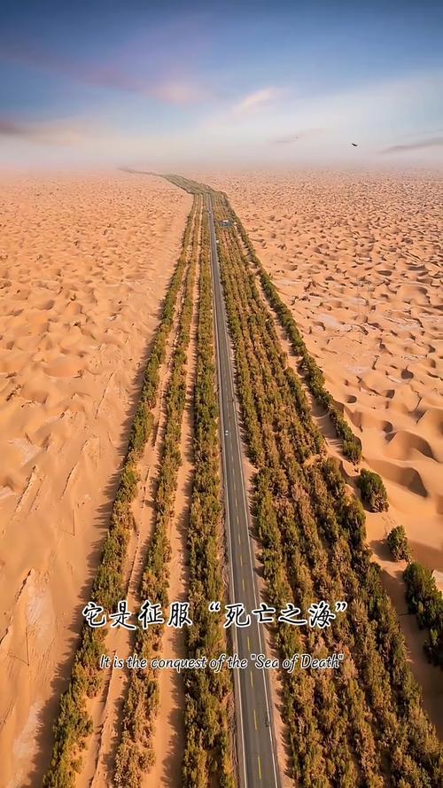 新疆沙漠公路具体有几条？-第2张图片-花冠旅游服务