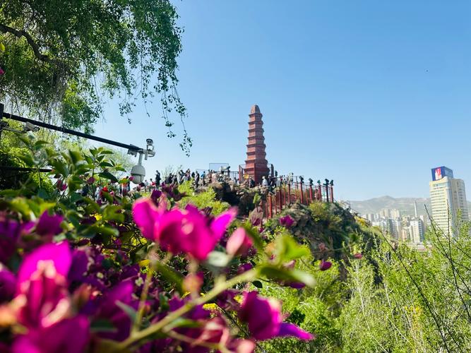 乌鲁木齐市的公园有何特色与魅力？-第2张图片-花冠旅游服务