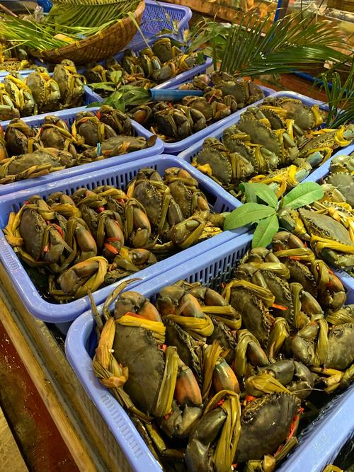 福建长乐海鲜批发市场怎么样？-第2张图片-花冠旅游服务