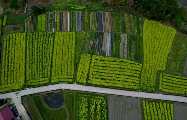 江西吉安永丰潭头有何新闻值得关注?-第3张图片-花冠旅游服务 江西吉安永丰潭头有何新闻值得关注?-第3张图片-花冠旅游服务