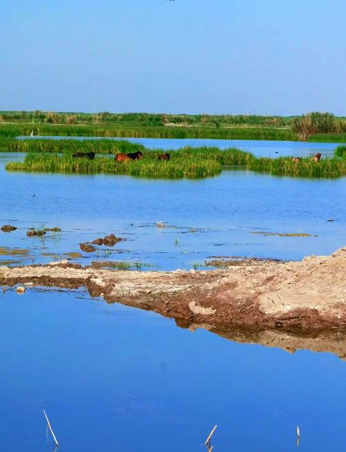 淖毛湖镇在新疆哈密有何独特之处？-第2张图片-花冠旅游服务