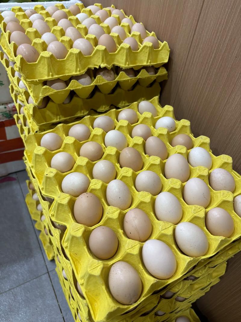 南昌哪能买到正宗土鸡蛋？-第2张图片-花冠旅游服务