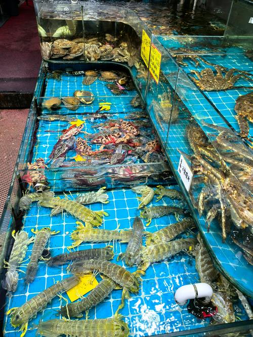 福建漳州海鲜批发市场怎么样？-第3张图片-花冠旅游服务