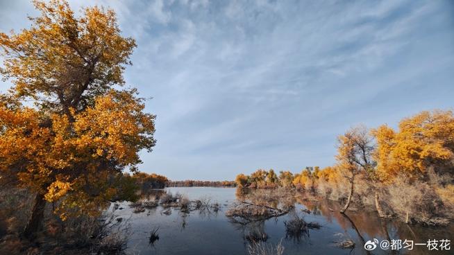 新疆阿克苏阿拉尔有何独特魅力？-第3张图片-花冠旅游服务