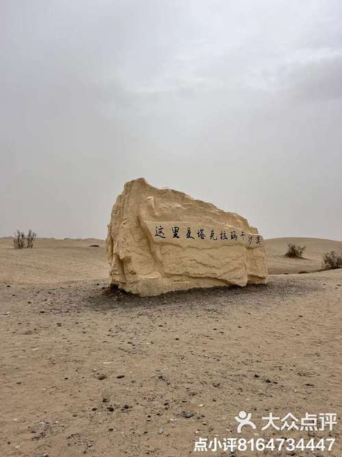 新疆 塔克拉玛干沙漠-第2张图片-花冠旅游服务