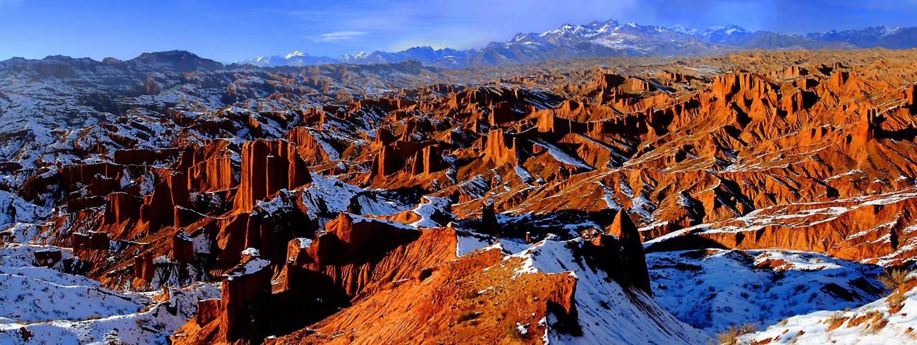 新疆国家级自然保护区有何独特生态价值？-第1张图片-花冠旅游服务