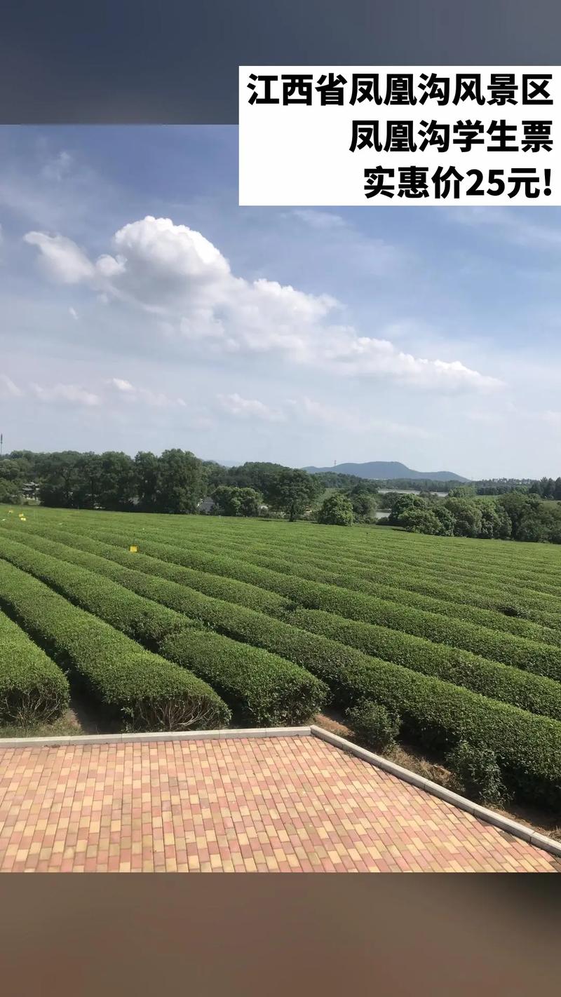 江西凤凰沟具体位置在哪？-第3张图片-花冠旅游服务