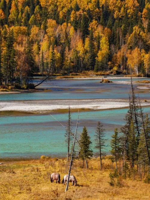 九十十月去新疆合适吗？-第3张图片-花冠旅游服务