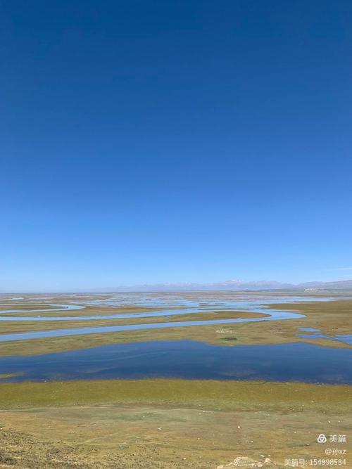 新疆九曲十八弯天鹅湖为何如此迷人？-第3张图片-花冠旅游服务