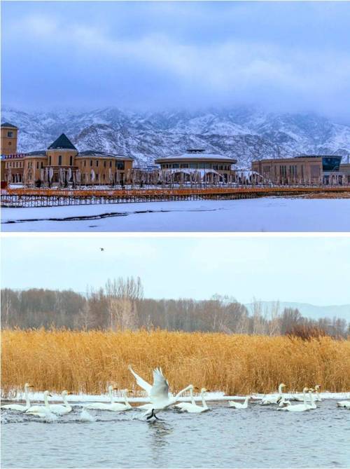 去新疆禾木需要边防证吗？-第2张图片-花冠旅游服务