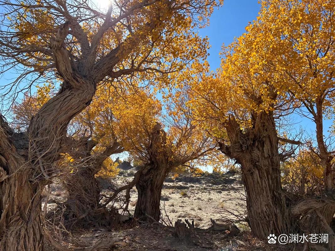 新疆哈密伊吾县淖毛湖有何独特之处？-第2张图片-花冠旅游服务