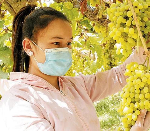 新疆和田于田县兰干乡有何特色?-第1张图片-花冠旅游服务 新疆和田于田县兰干乡有何特色?-第1张图片-花冠旅游服务