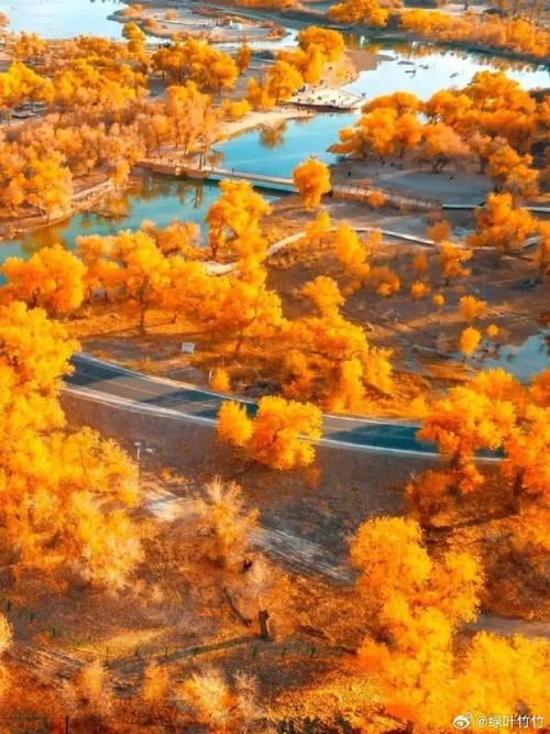 新疆胡杨林，最值得去的是哪片？-第3张图片-花冠旅游服务