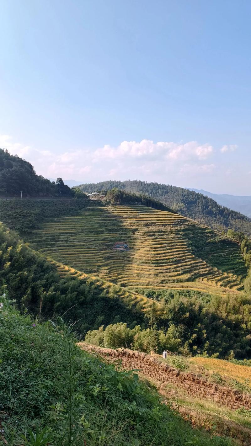 江西遂川有哪些必游景点？-第3张图片-花冠旅游服务