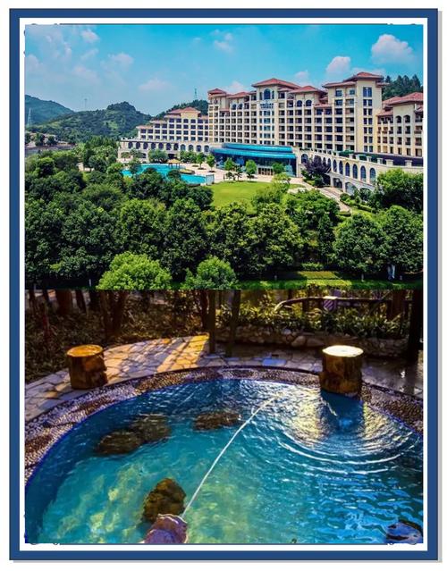 江西宜春维景酒店预订-第2张图片-花冠旅游服务