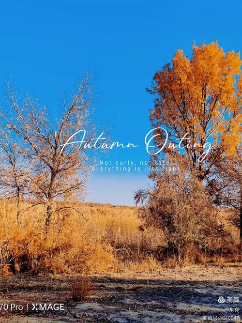 麦盖提县在新疆喀什有何独特之处？-第2张图片-花冠旅游服务