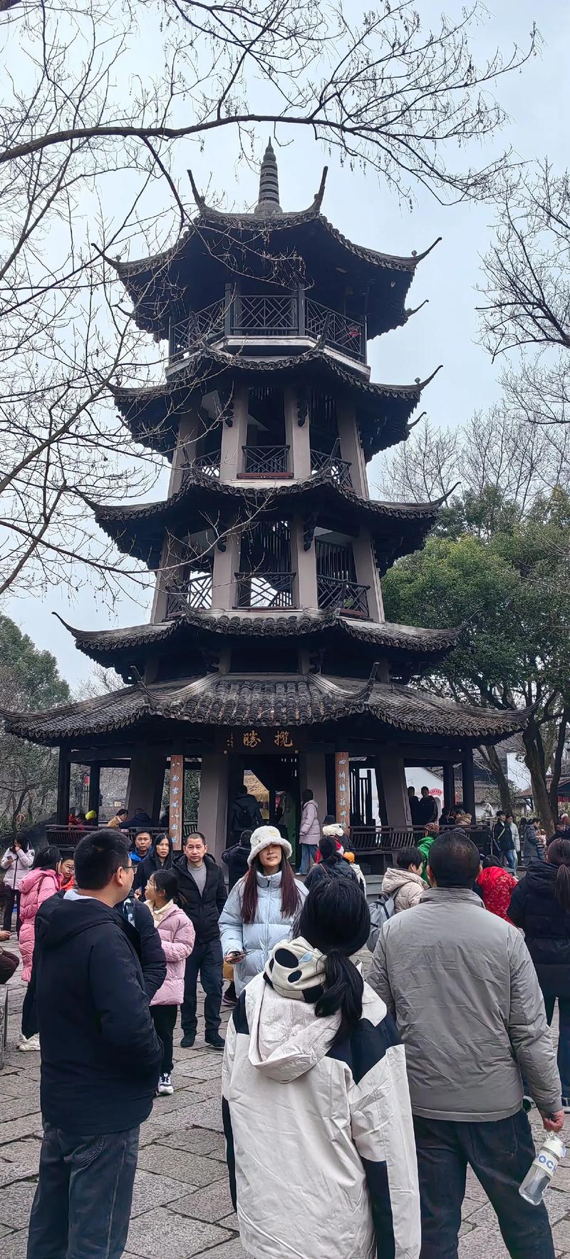 西溪湿地有何独特生态魅力？-第2张图片-花冠旅游服务