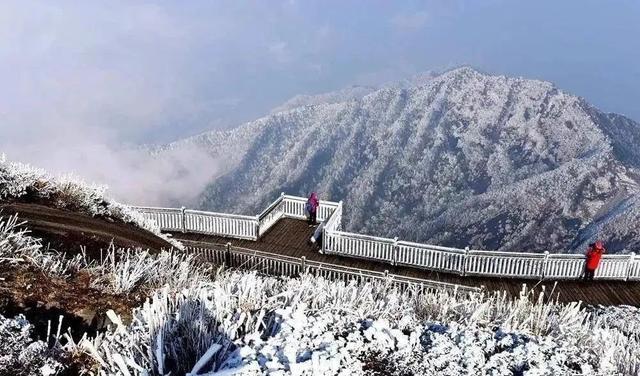 福建金饶山冬天值得去玩吗？-第2张图片-花冠旅游服务